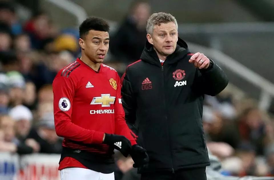 早已不是偶 早已不是偶